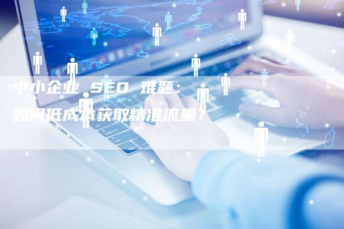 中小企业 SEO 难题：如何低成本获取精准流量？