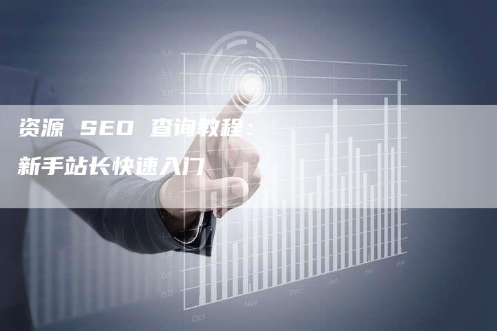 资源 SEO 查询教程：新手站长快速入门