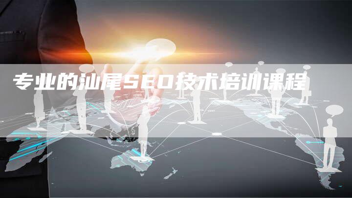 专业的汕尾SEO技术培训课程