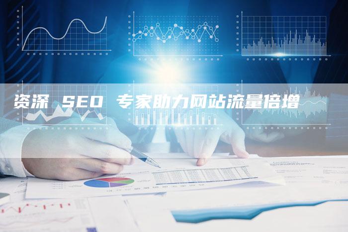 资深 SEO 专家助力网站流量倍增-速发外链网