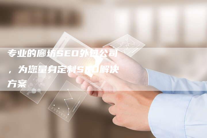 专业的廊坊SEO外包公司，为您量身定制SEO解决方案-速发外链网