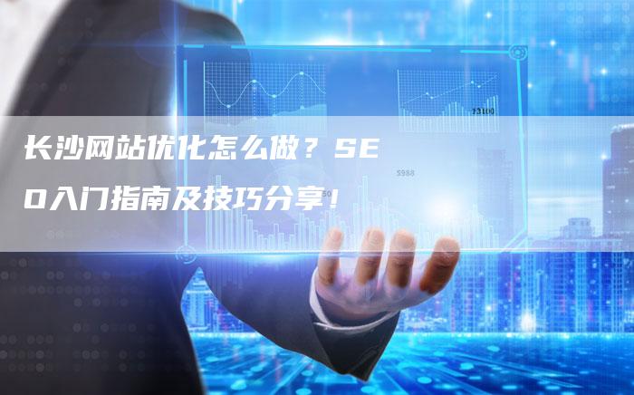 长沙网站优化怎么做？SEO入门指南及技巧分享！