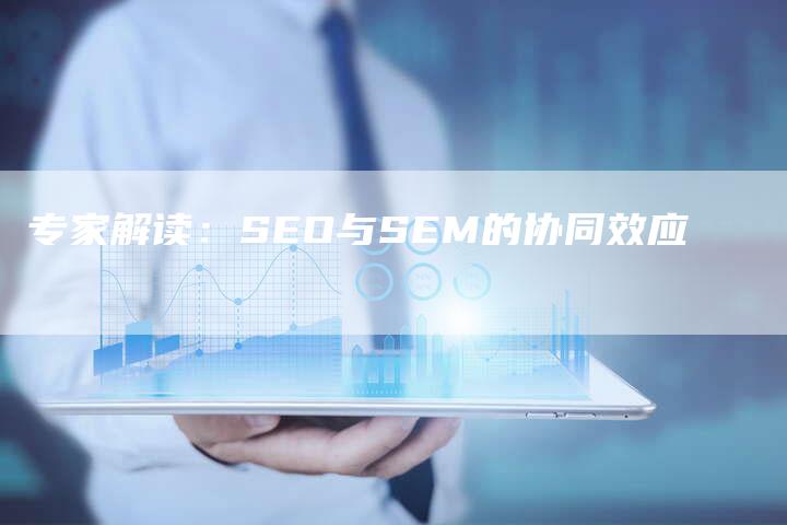 专家解读：SEO与SEM的协同效应