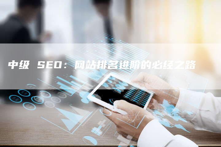 中级 SEO：网站排名进阶的必经之路-速发外链网