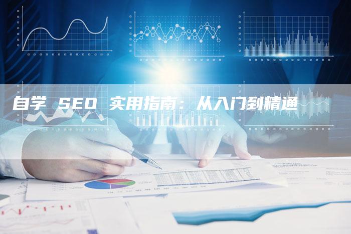 自学 SEO 实用指南：从入门到精通-速发外链网