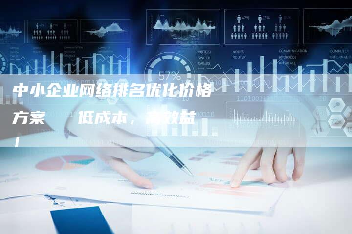 中小企业网络排名优化价格方案   低成本，高效益！-速发外链网