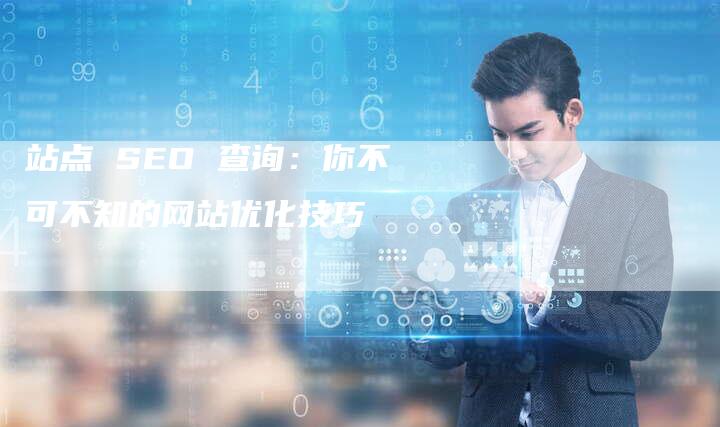 站点 SEO 查询：你不可不知的网站优化技巧-速发外链网