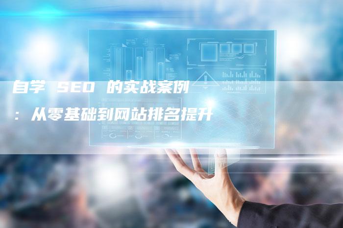 自学 SEO 的实战案例：从零基础到网站排名提升-速发外链网