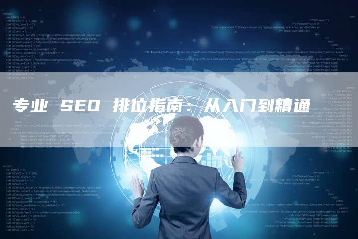 专业 SEO 排位指南：从入门到精通-速发外链网