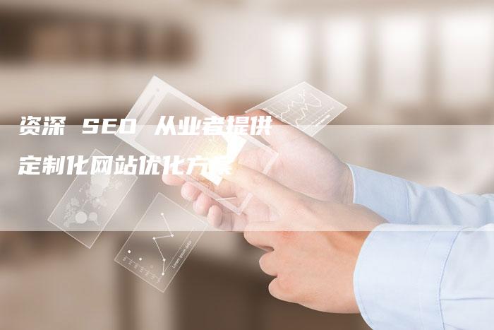 资深 SEO 从业者提供定制化网站优化方案-速发外链网