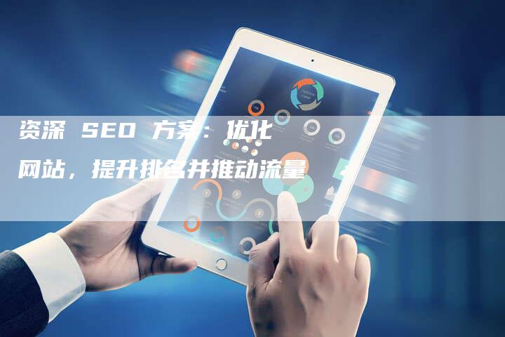 资深 SEO 方案：优化网站，提升排名并推动流量-速发外链网