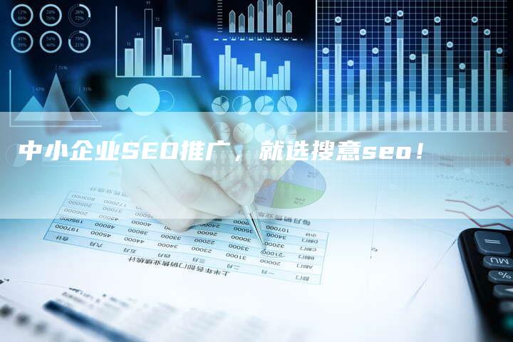 中小企业SEO推广，就选搜意seo！-速发外链网